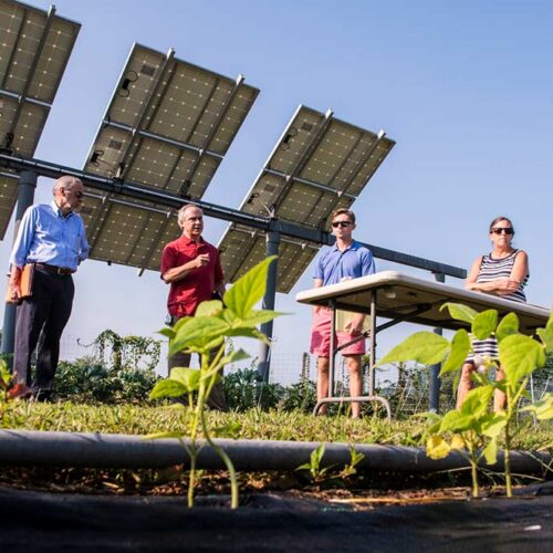 Beneath Solar Panels, the Seeds of Opportunity Sprout
