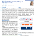 Robust Technology and Policy Pathways for Urban Water Security