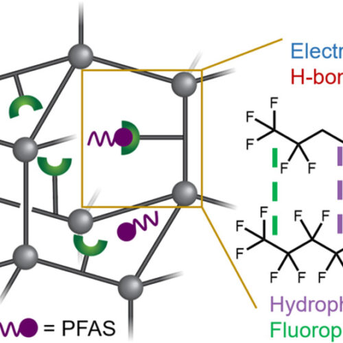 New Porous Polymers Offer a Strategy for Removing "Forever Chemicals" from Water